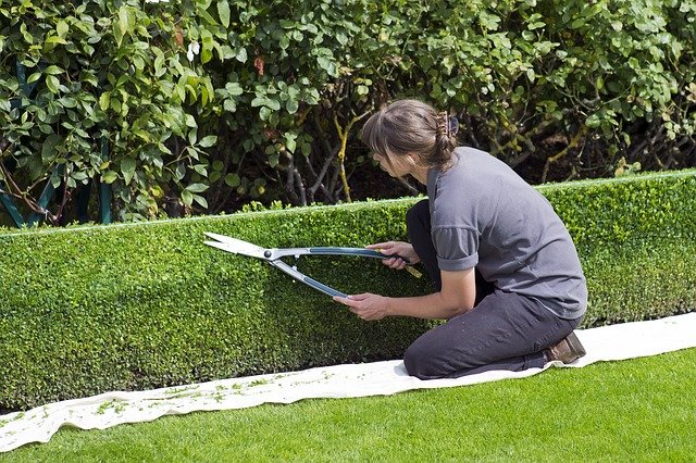Comment créer son entreprise de jardinier ?